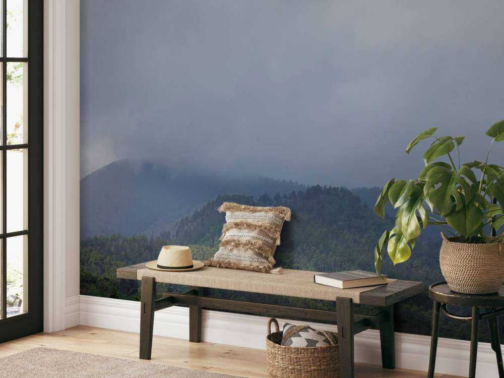 Chmury nad drzewami w górach