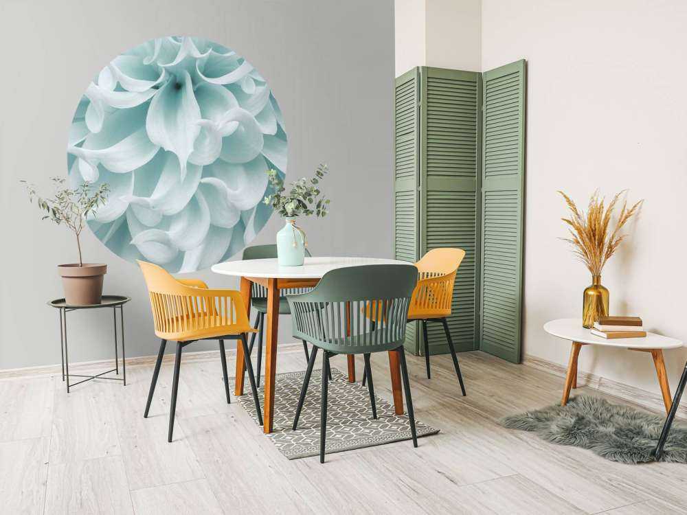 Dalia o jasnej barwie