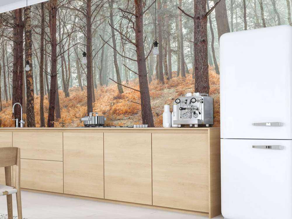 Las w okresie jesiennym