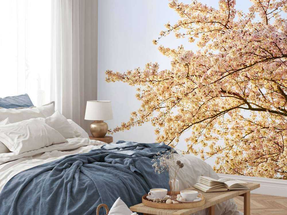 Gałąź kwitnąca w rozkwicie