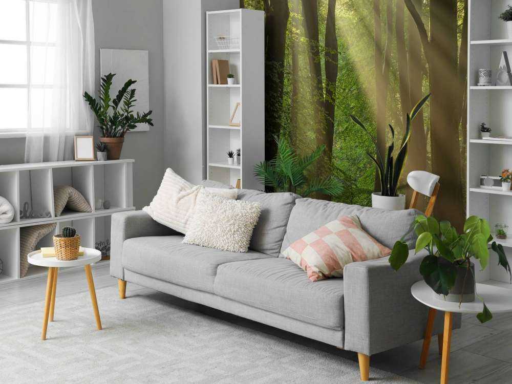 Harfy słoneczne w lesie