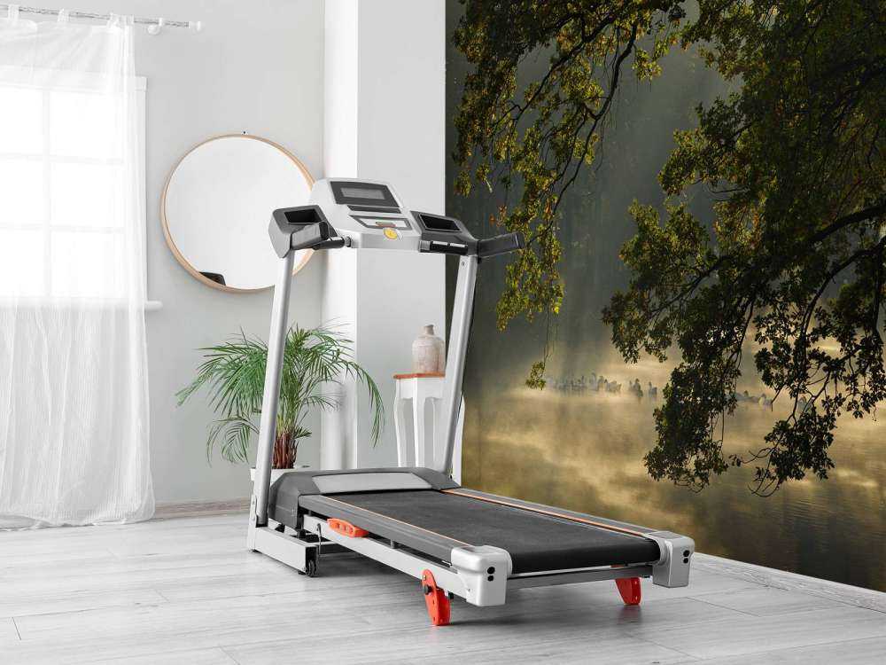 Zwisające gałęzie nad wodą