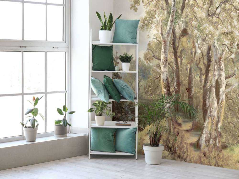 Panorama Kolorowego Krajobrazu Leśnego