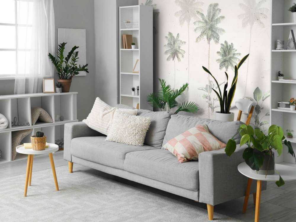 Poranna Mgła Tropikalna