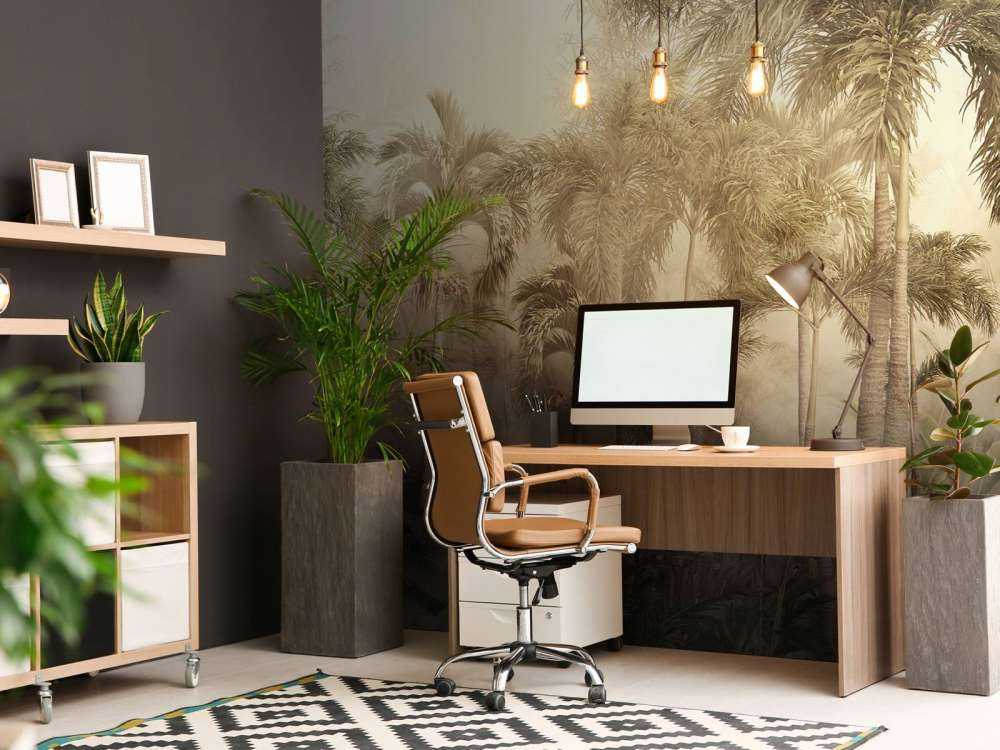 Piękno Tropikalnej Mgły