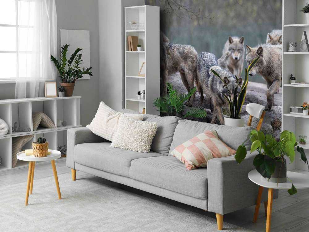 Strażnik lasu Zmierzch