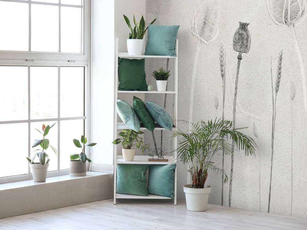 Szepcząca natura Duchy