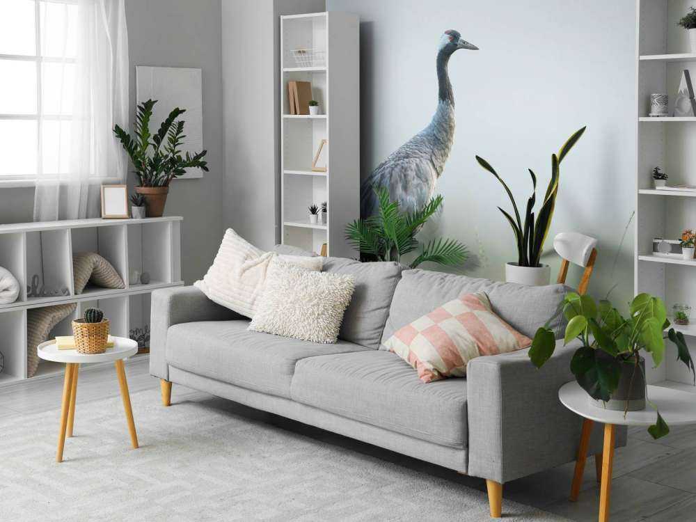 Żuraw w porannej mgle