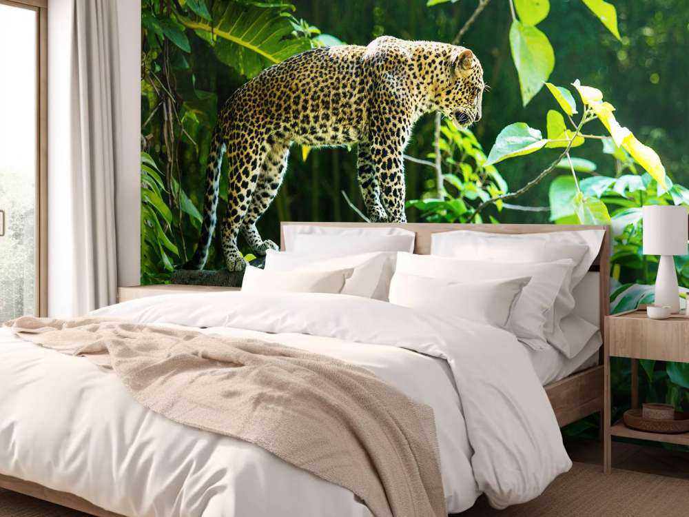 Leopard na skale