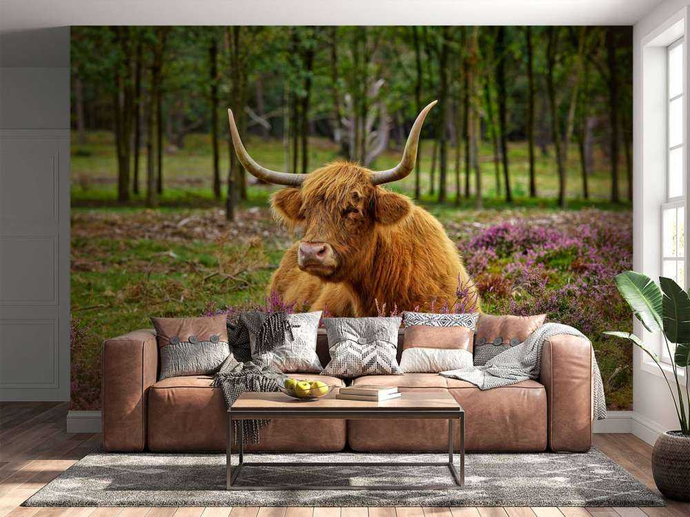 Szkocka rasa wyżynna między purpurowymi wrzosami