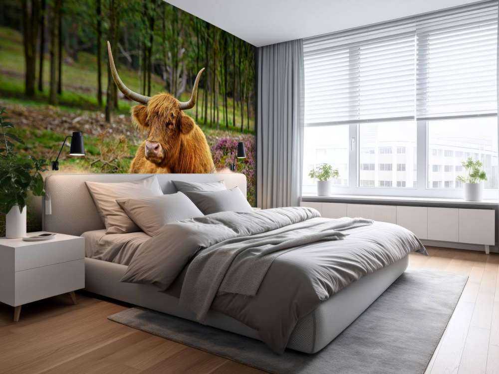 Szkocka rasa wyżynna między purpurowymi wrzosami