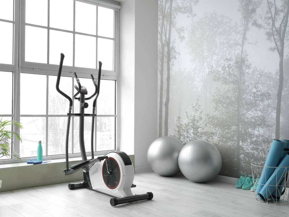 Gęsta mgła w lesie