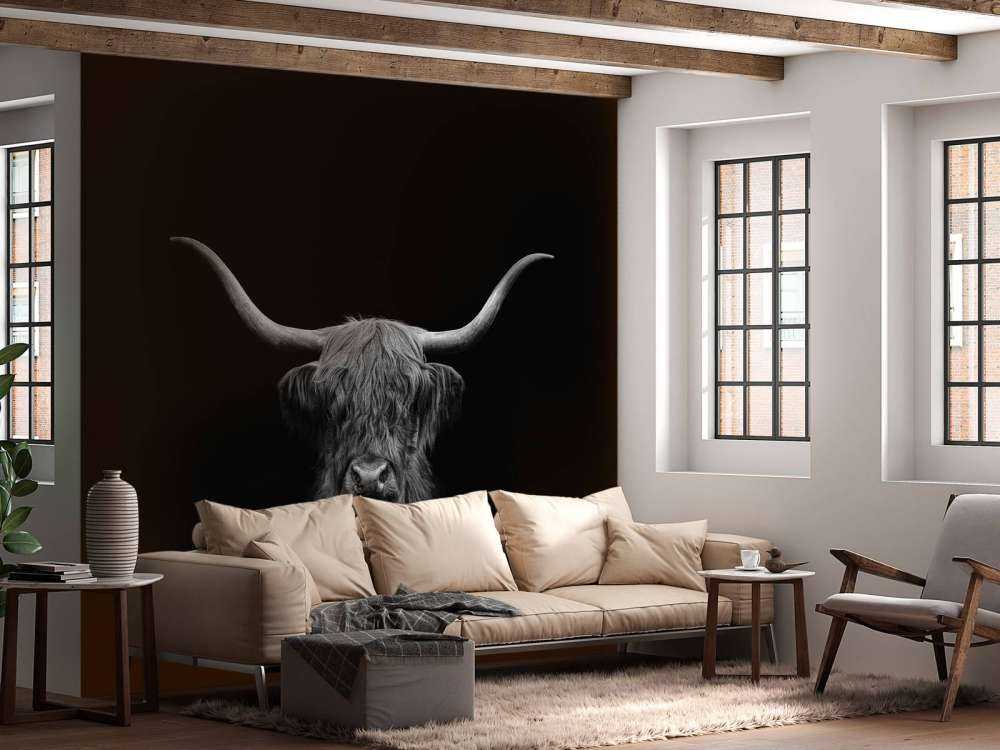 Czarno-biała szkocka rasa wyżynna