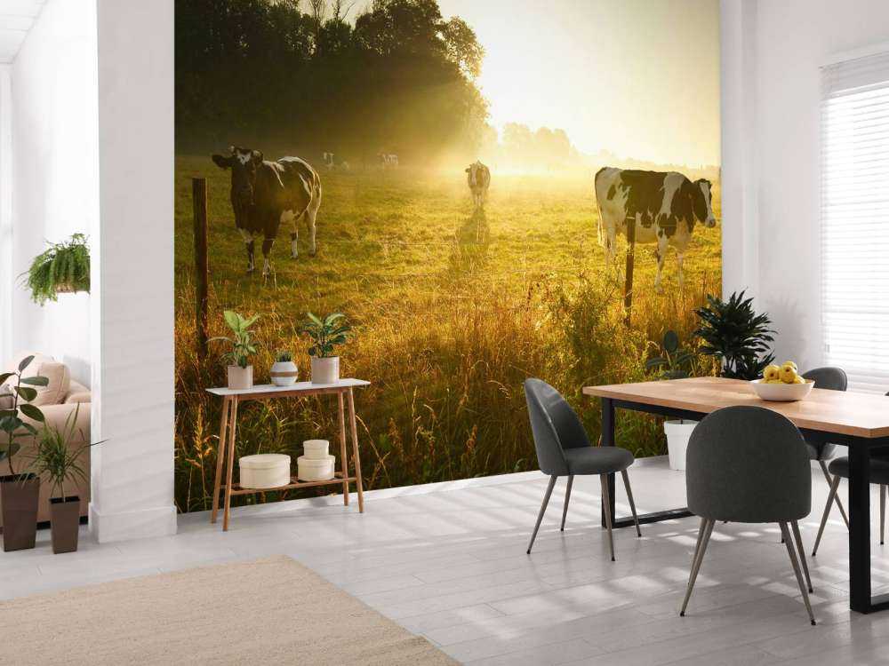 Krowa o wschodzie słońca