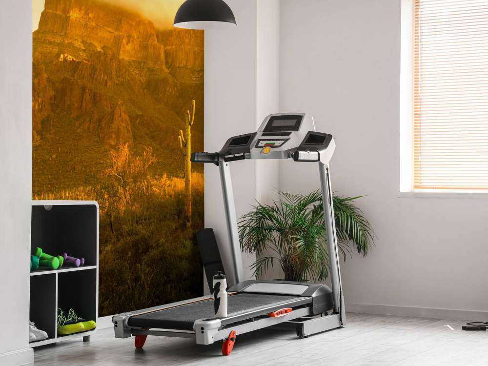 Pustynia z kaktusami