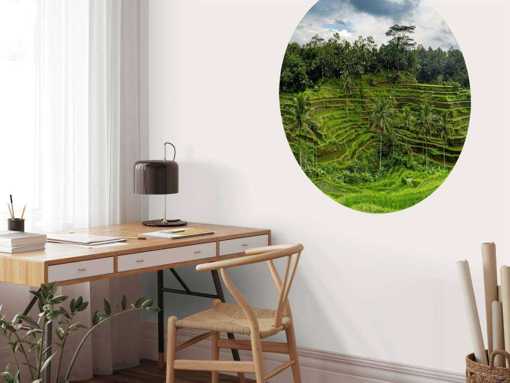 Tajlandzkie pola ryżowe