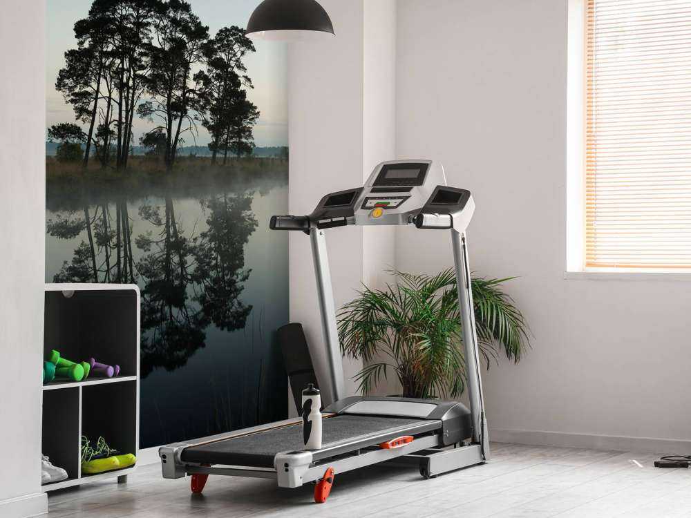 Drzewa wzdłuż lasów