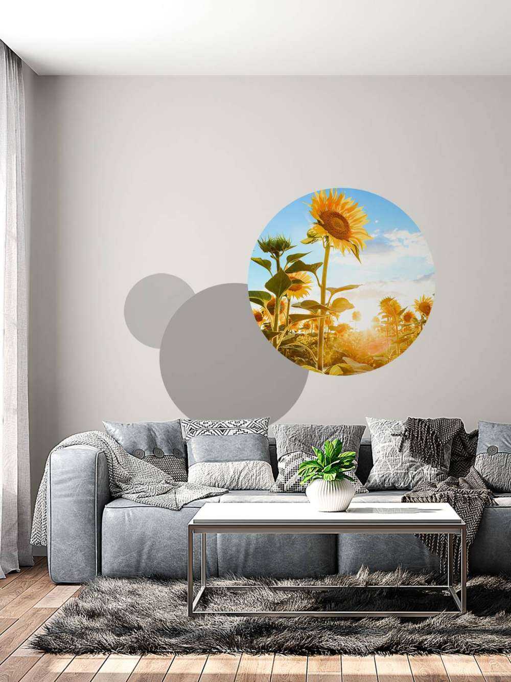 Słonecznik z błękitem nieba