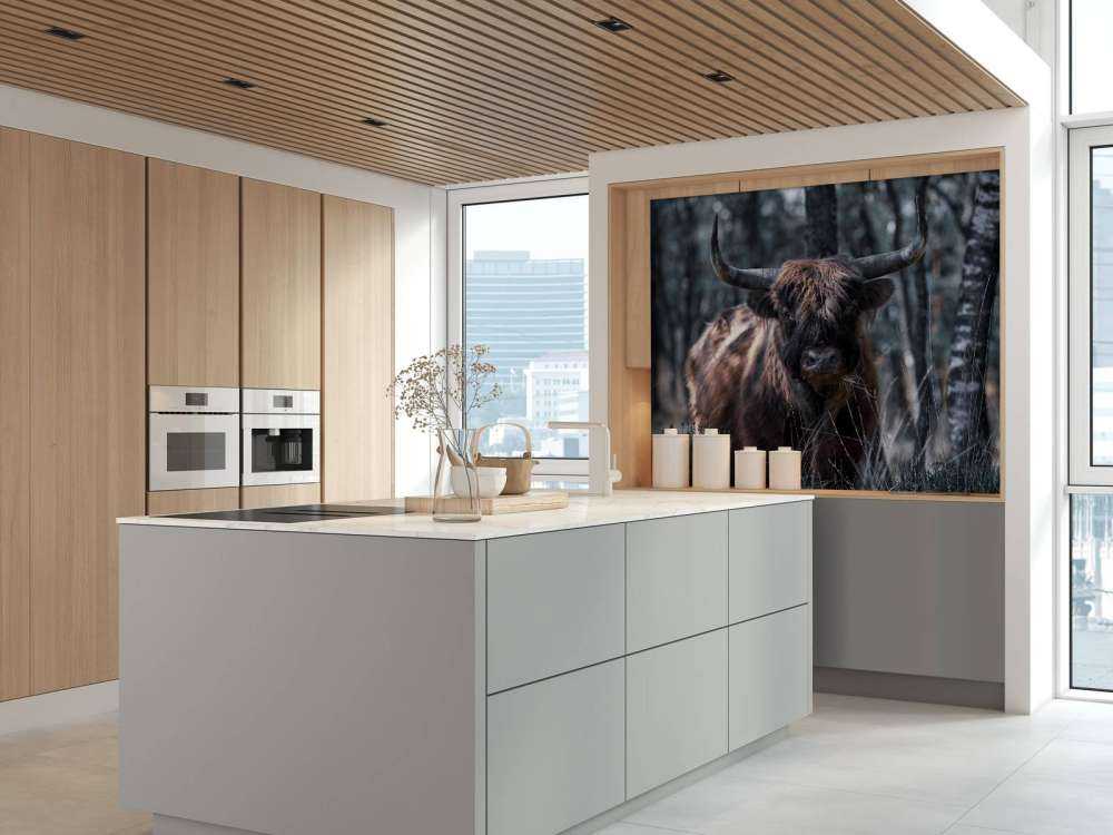 Szkocka rasa wyżynna