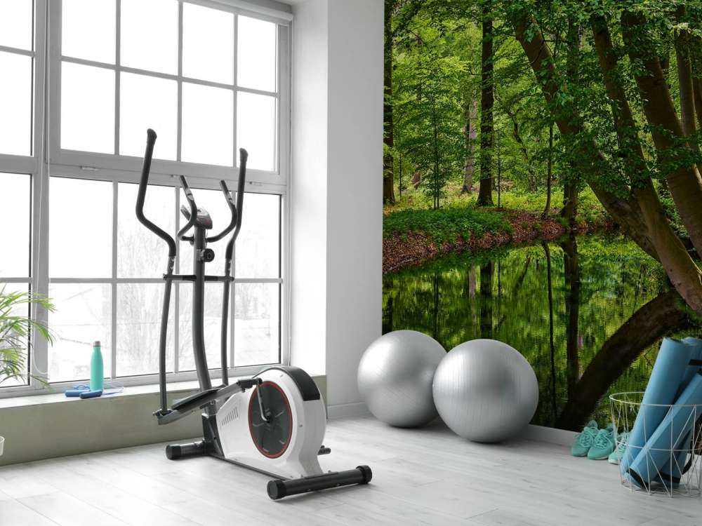 Wygięte drzewa w pobliżu wody