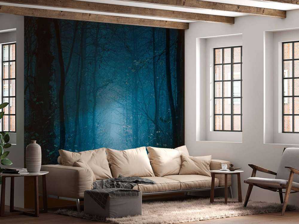 Niebieska ścieżka leśna