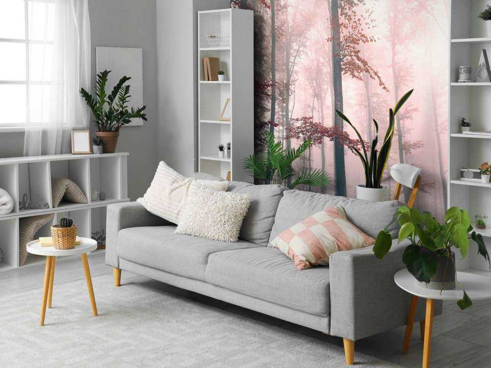 Krajobraz czerwonego lasu