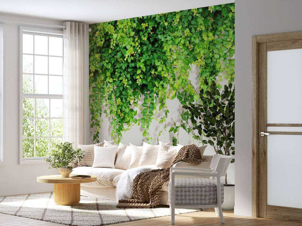 Zielone zwisające gałęzie