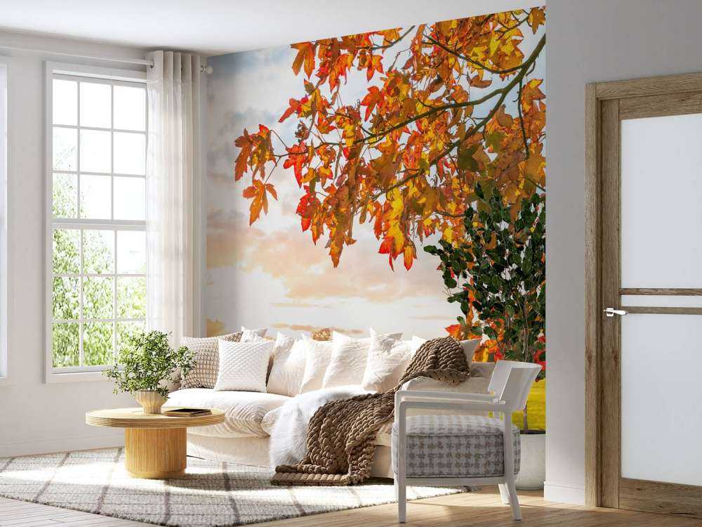 Jesienne drzewo o zachodzie słońca