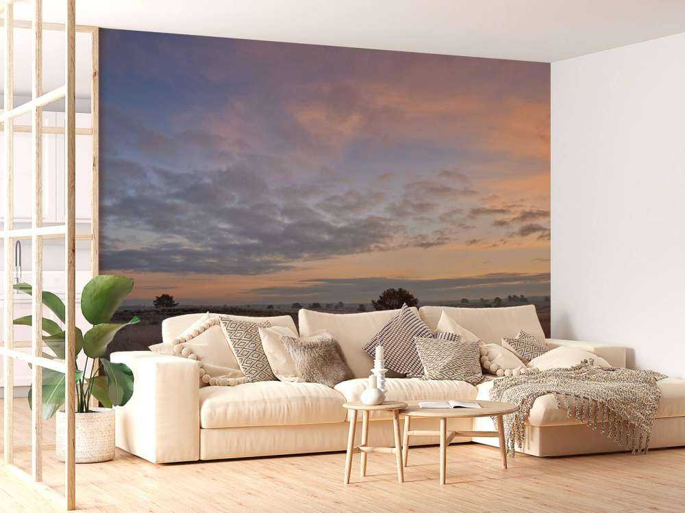 Trawy na wrzosowiskach