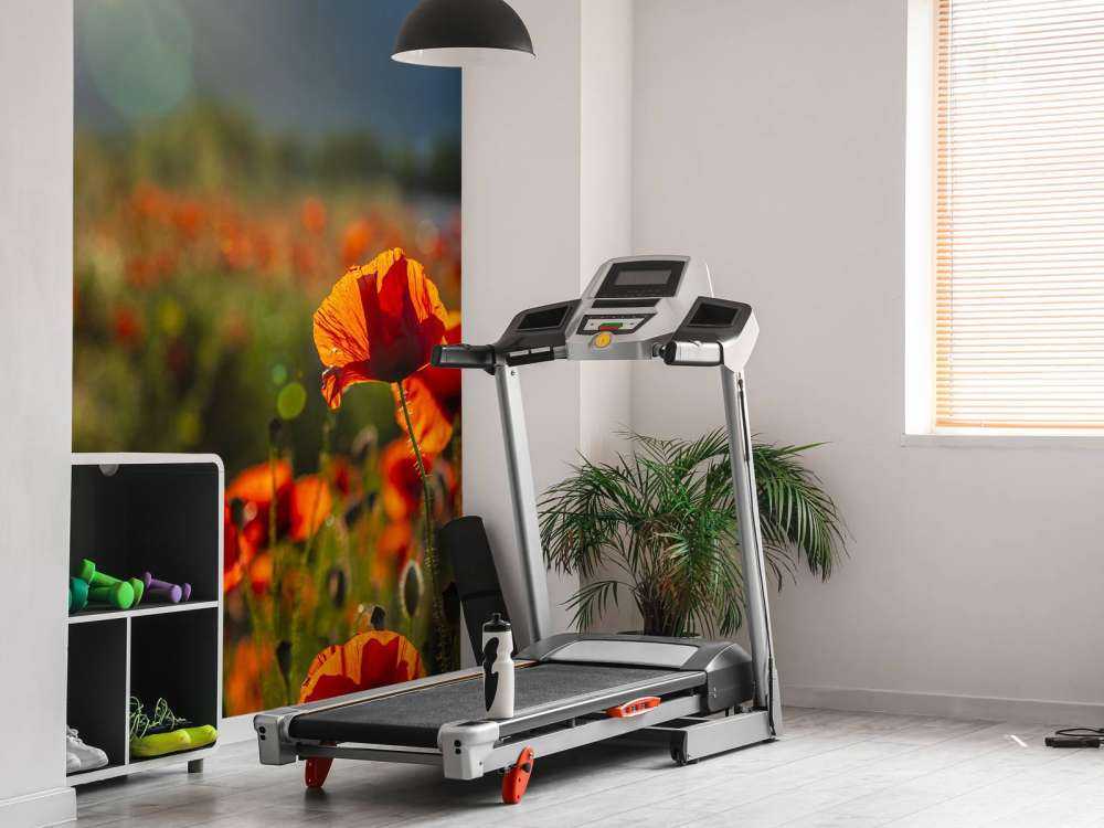 Maki z promieniami słońca