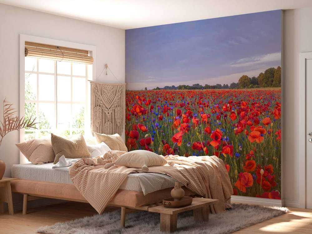 Niebieskie kwiaty i czerwone maki