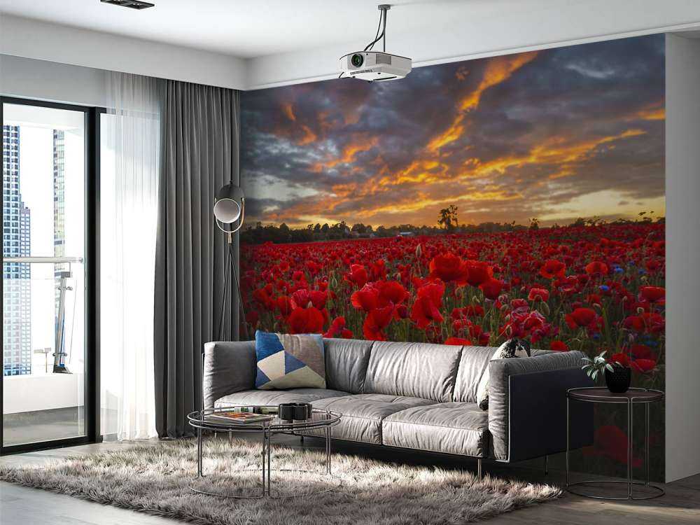 Pole maków z pięknym niebem