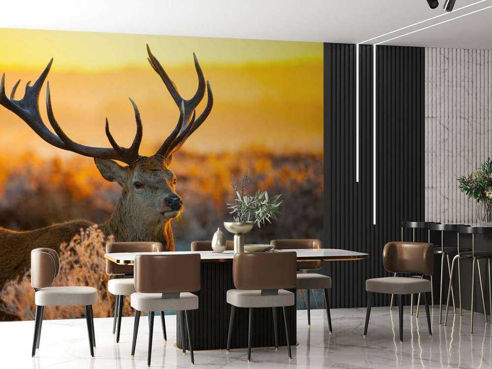 Jeleń w rezerwacie przyrody