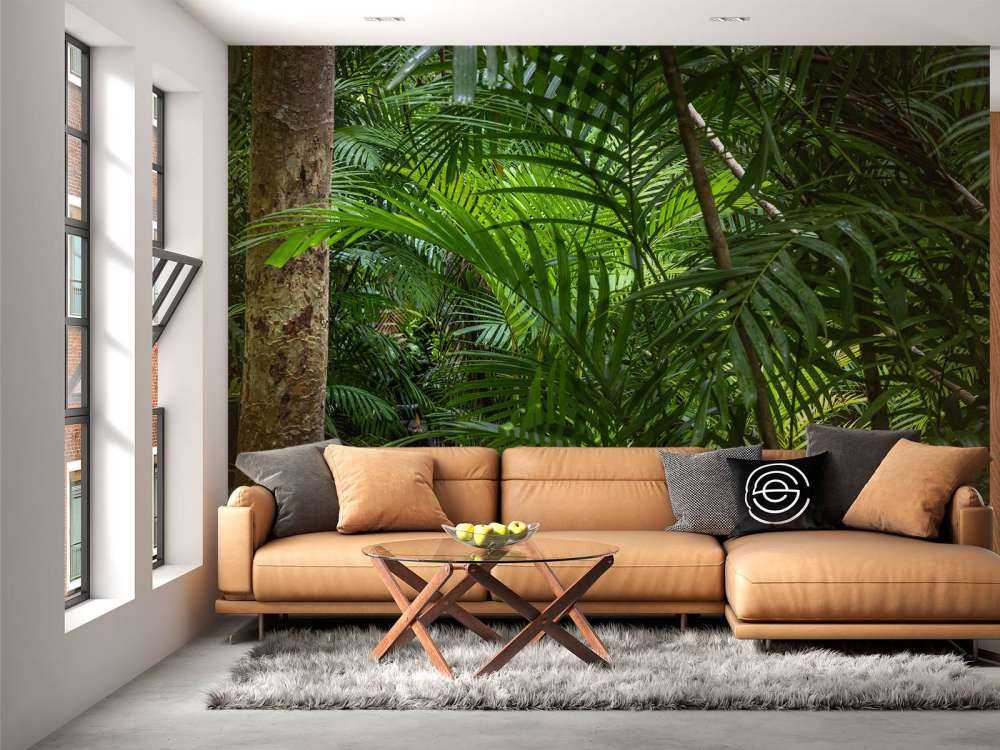 Tropikalne lasy deszczowe