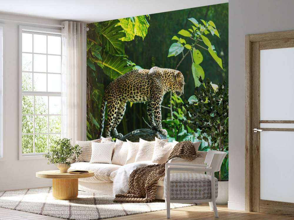 Leopard na skale