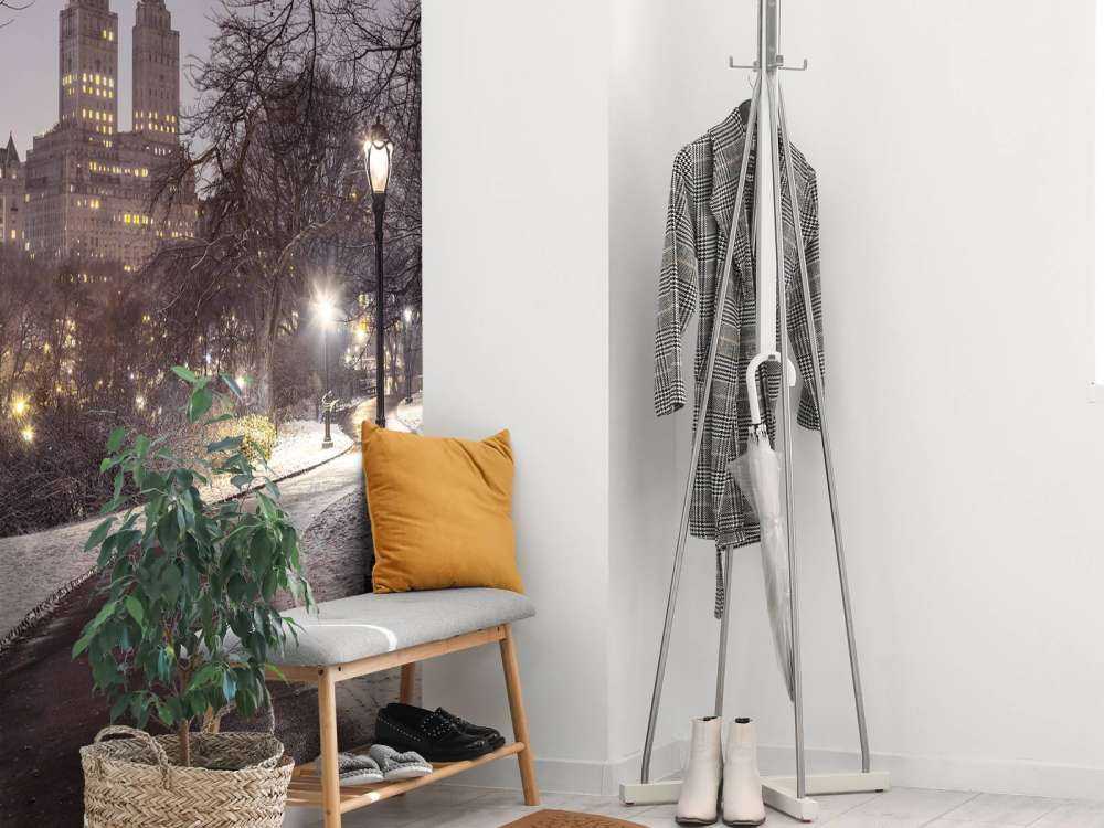 Central Park pokryty śniegiem