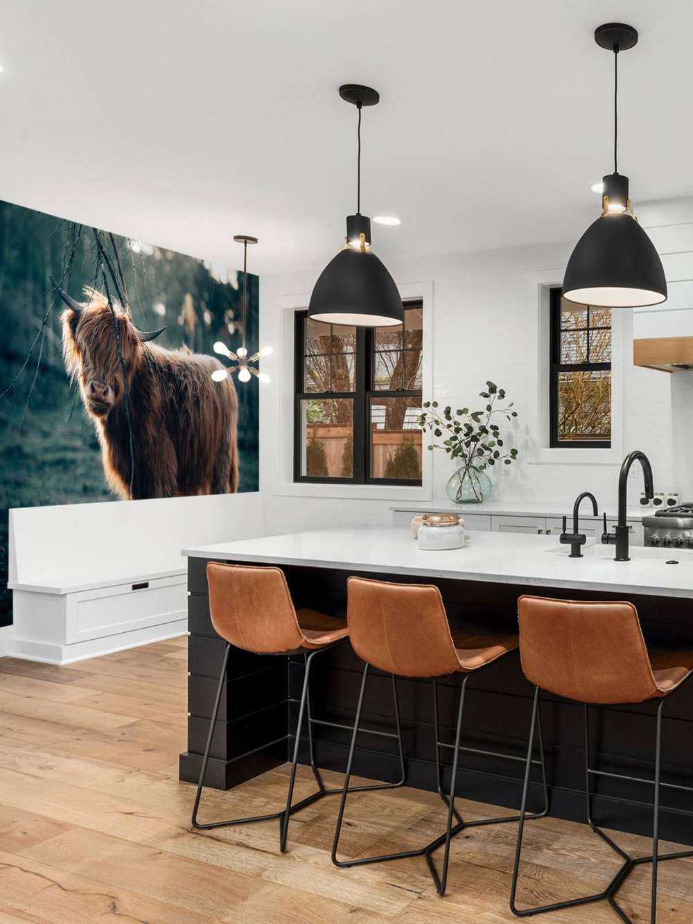 Szkocki wyżyn na skraju lasu