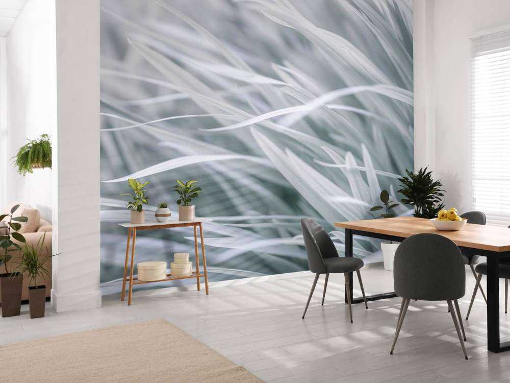 Zbliżenie na źdźbła trawy