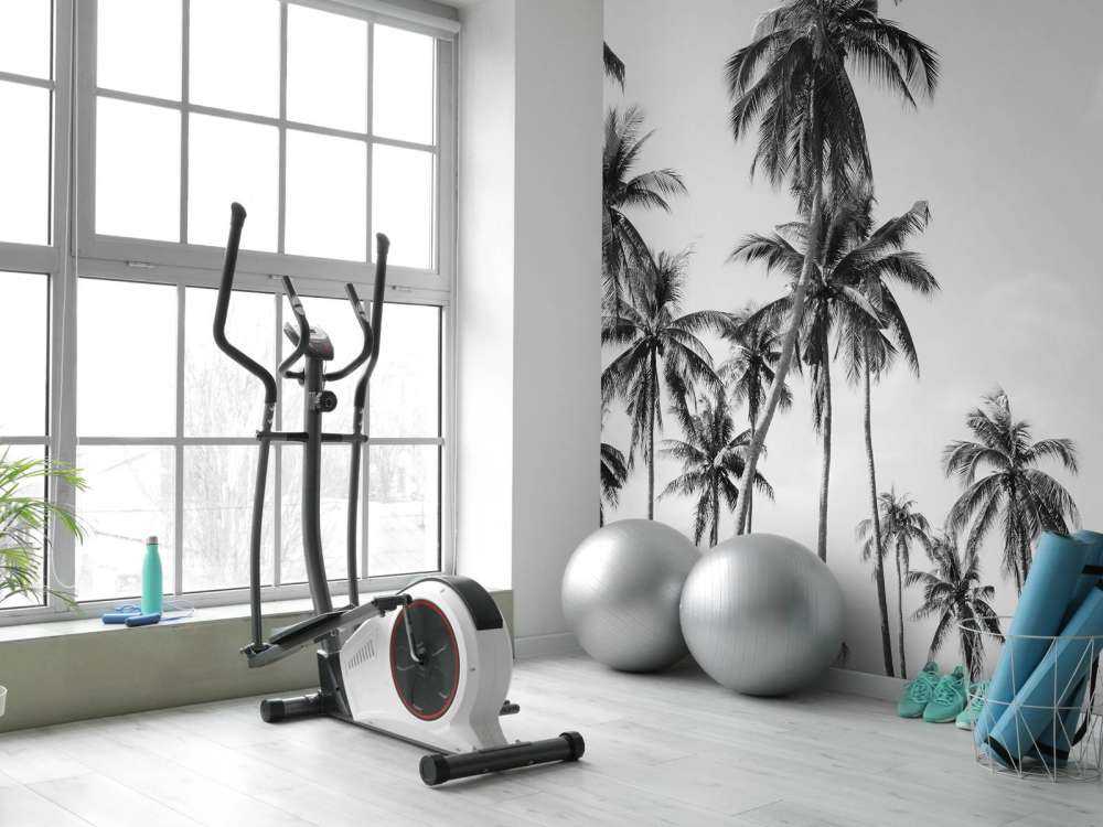 Palmy w czerni i bieli