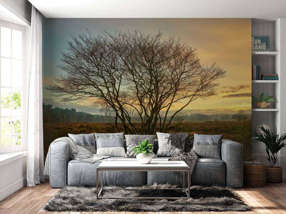 Wschód słońca na wrzosowisku