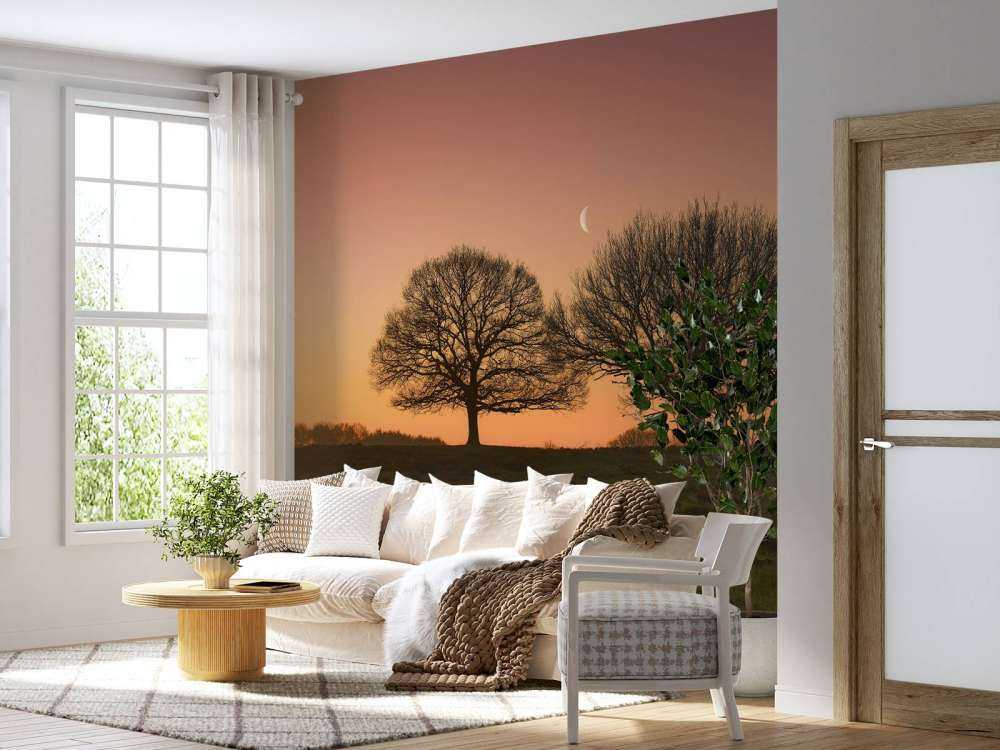 Księżyc między drzewami