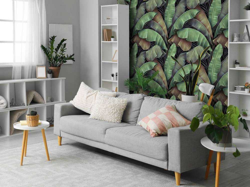 Luksusowe liście bananowca