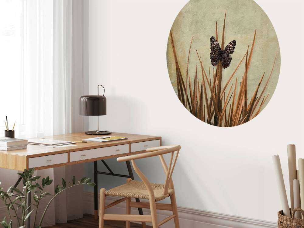 Motyl przy starej ścianie