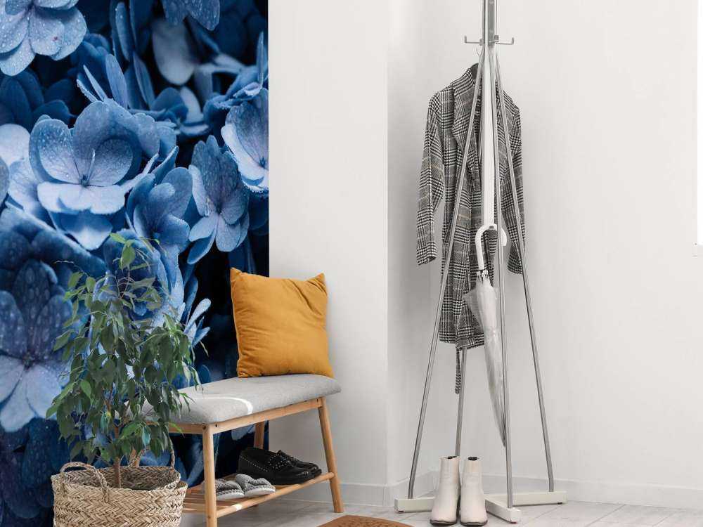 Błękitne hortensje w zbliżeniu