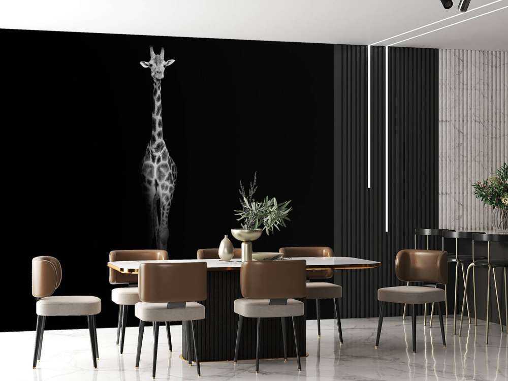 Żyrafa czarno-biała