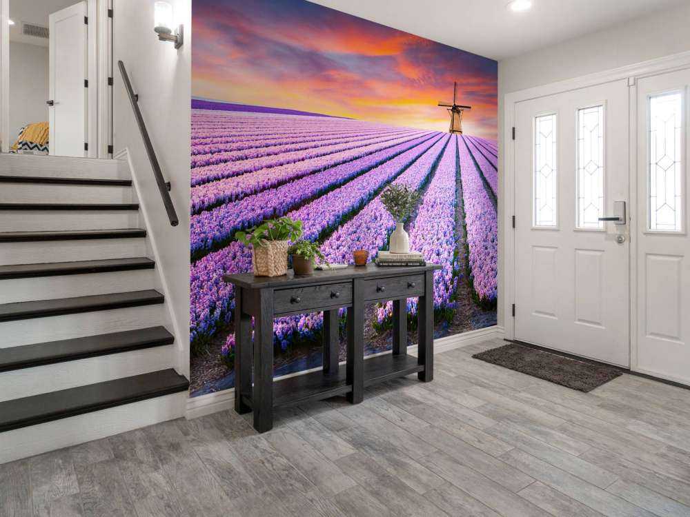 Szafirek Niebieski Muscari