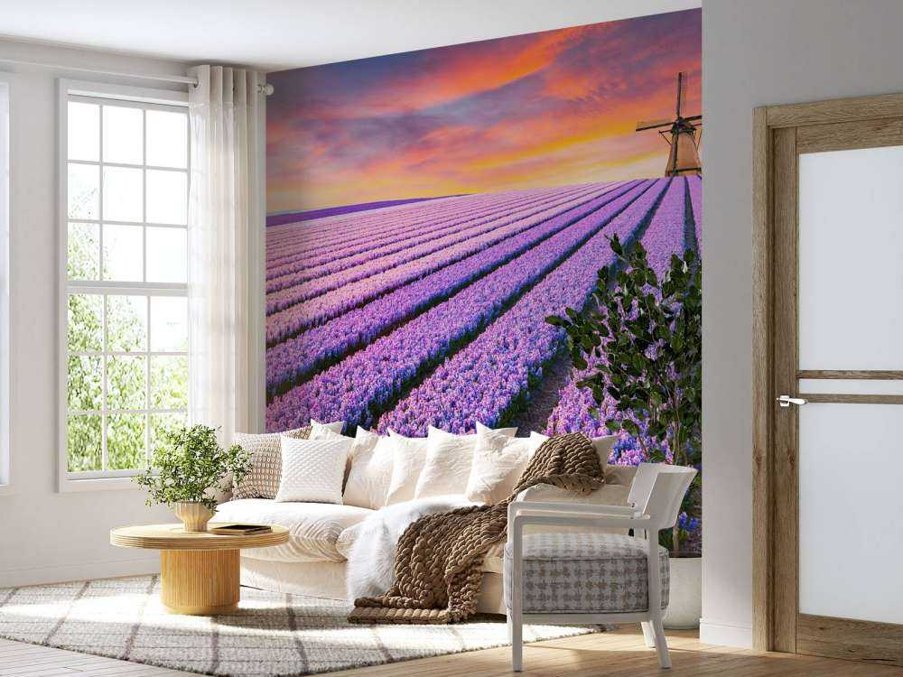 Szafirek Niebieski Muscari