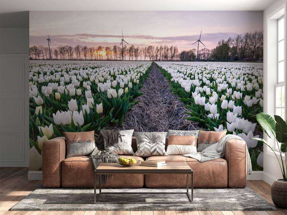 Pole tulipanów białych