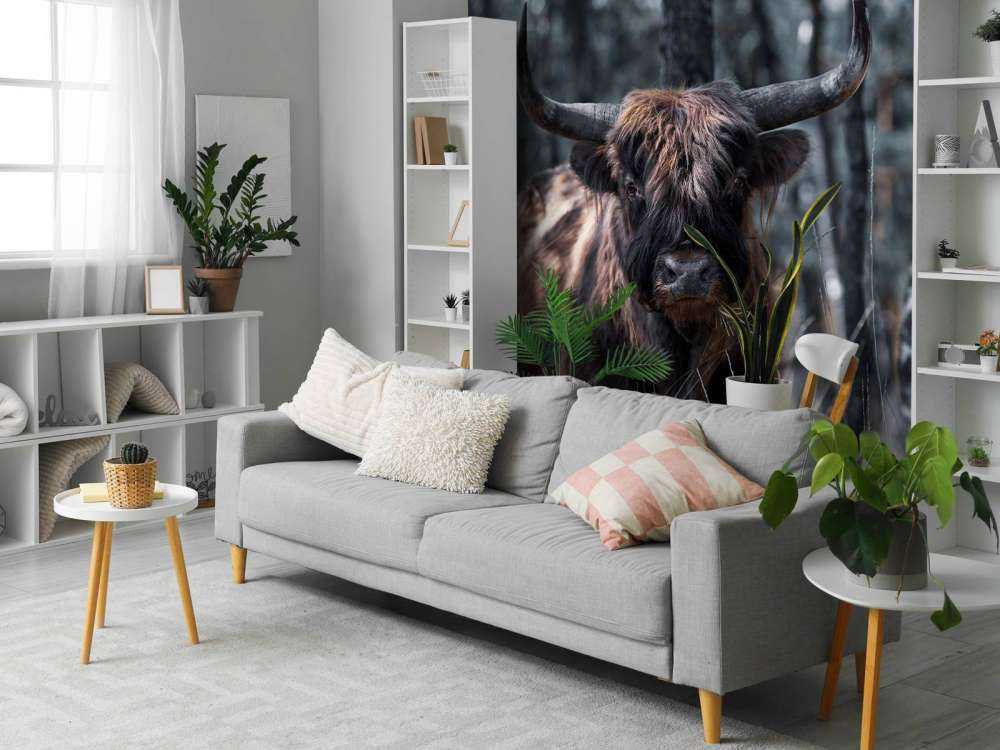 Szkocka rasa wyżynna