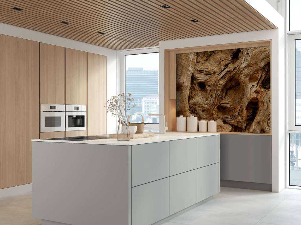 Zbliżenie na stare drzewo